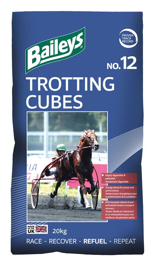 No.12 Trotting Cubes