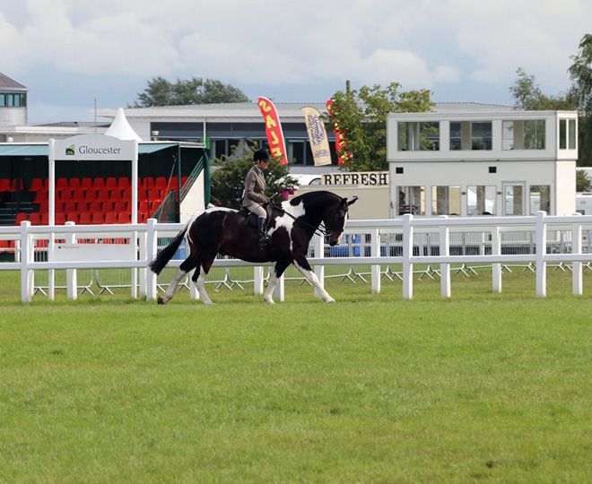Three Counties Show 2019