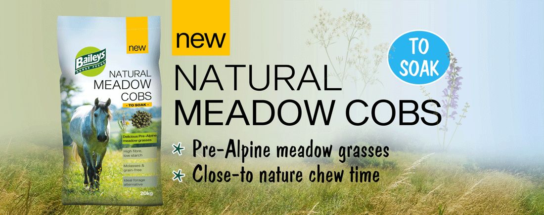 Natural Meadow Cobs